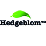 hedgeblom logotyp digital marknadsföring